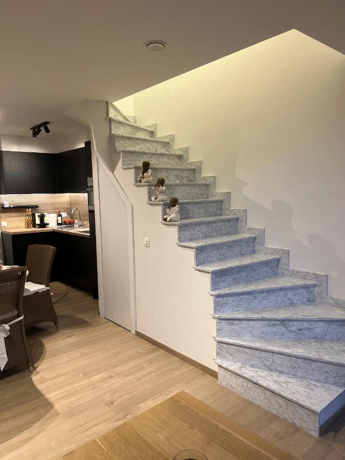 布兰肯贝赫Viki'S Penthousje公寓 外观 照片
