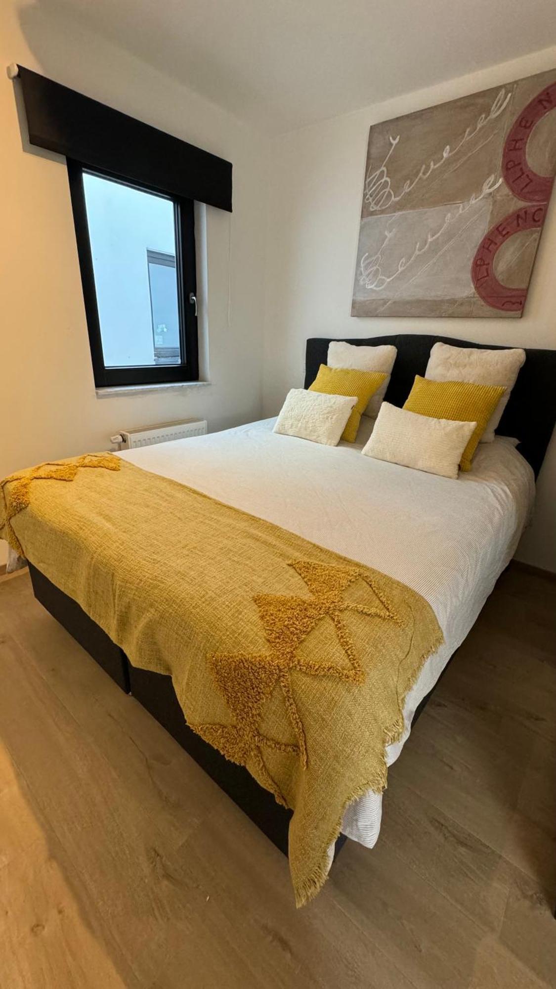 布兰肯贝赫Viki'S Penthousje公寓 外观 照片